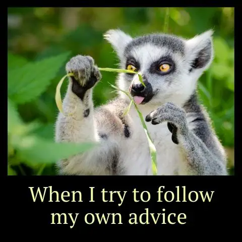 when i try to follow my own advice meme